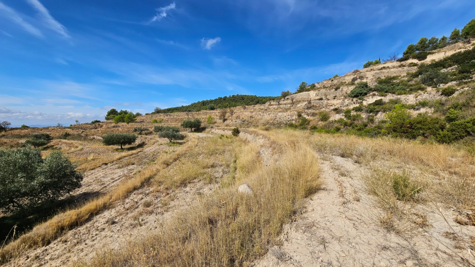 Finca rústica en Jijona – Sierra de Don Benito.